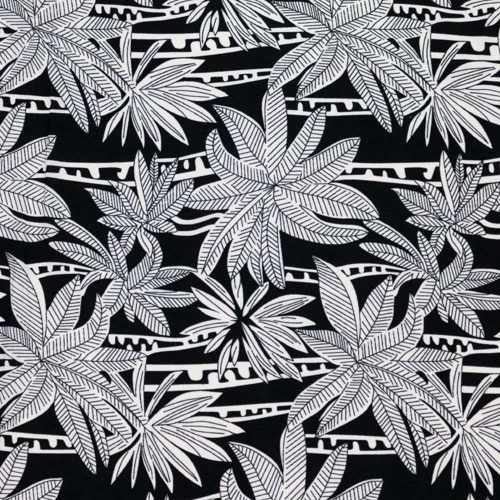 palmiern 2 1000x1000 1