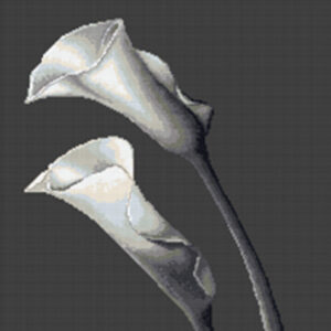 BRODERIE IN CRUCIULITA B237 ” CALE „