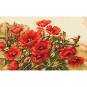 GOBLEN G490 ” MACI PE CAMP „