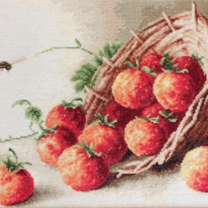 GOBLEN G497 ” COS CU CAPSUNI „